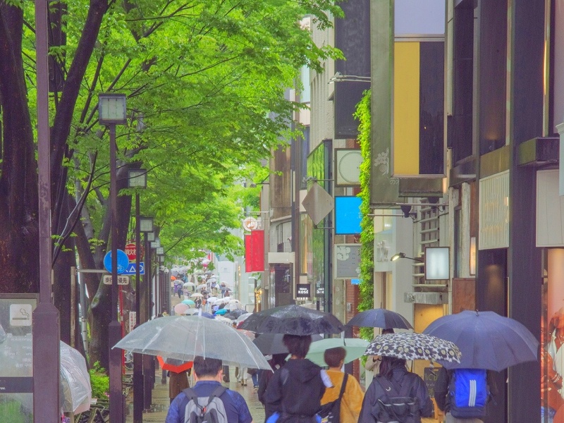 モンベル トレッキングアンブレラで雨の日を快適に